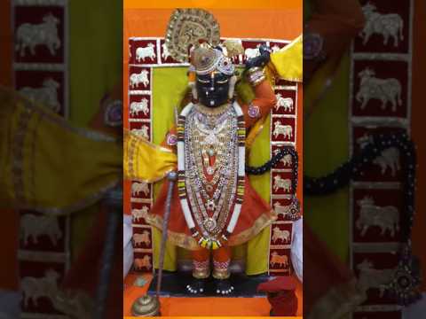 Jai jai jai Shrinathji#devotional #krishnabhajan #spiritual #shrinathji #youtubeshorts #gopala