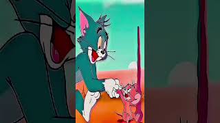 Tom and Jerry 😘 😍#tomandjerry #fightingpartner #tom #jerry #tomandjerrycouple