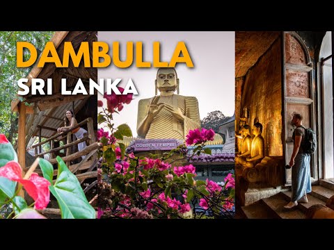 Visiting STUNNING Dambulla Cave Temple & Treehouse Stay | SRI LANKA SERIES