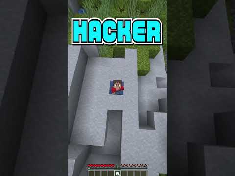 NOOB vs PRO vs HACKER vs DD #minecraft