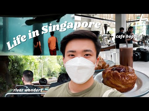 My Singapore life: visiting Asia's first river-themed zoo, work & dine cafe,  my favorite dessert