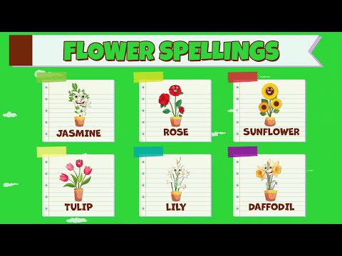 Learn Flower Names I Flower Spellings I  Flower Names I Spellings for Kids Beautiful Flowers I Rose