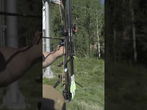 Shooting bull elk at 75 yards #bowhunting #targetpractice #tac #archery