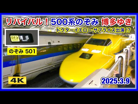 リバイバル500系のぞみ & ドクターイエロー 奇跡の共演 2025.3.9【4K】