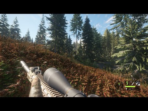 THE HUNTERS - COTW WITH FRIENDS DAY 7 | STREAM BY BjornLive  #live