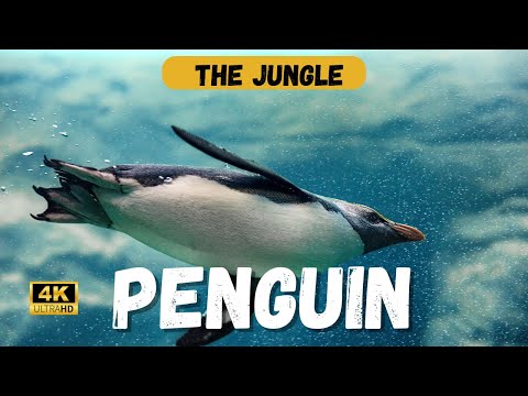 The Epic Journey of Penguins A Hyper Realistic Tale