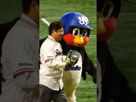 まもなくドラフト！！信じましょう！！ #swallows #プロ野球 #つば九郎 #ドラフト会議 #真中満 #当たりくじ