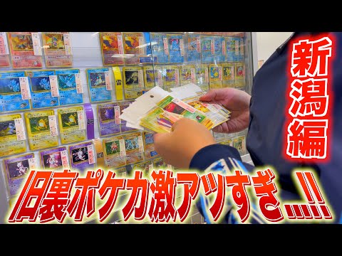 【ポケカ旅/新潟編】激アツすぎじゃない！？旧裏旧弾ポケカ大量発掘のオンパレード