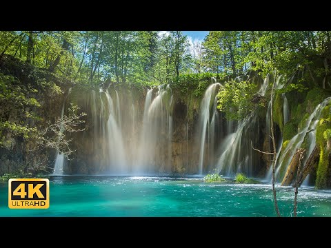 Waterstream of the World 4K