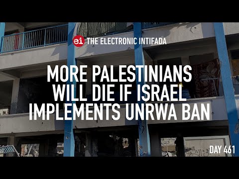 More Palestinians will die if Israel implements UNRWA ban, with Chris Gunness