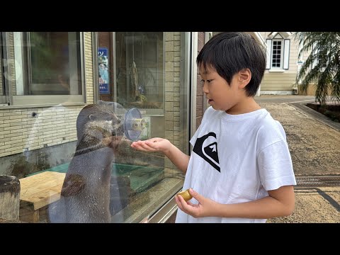 レオくんがおでかけしてみた！下田海中水族館！ Part51 レオスマイル