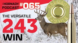 Ep. 065 - The Versatile 243 Win