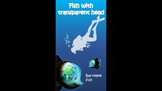 Fish with transparent head | Latest study | Animated biology with Arpan |Bio facts #shorts #ytshorts