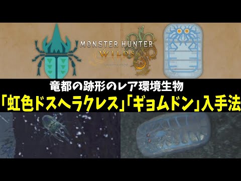 【モンハンワイルズ】レア環境生物「ギョムドン」と幻の虫「虹色ドスヘラクレス」の出現場所と環境条件と入手方法まとめ【MHWilds】