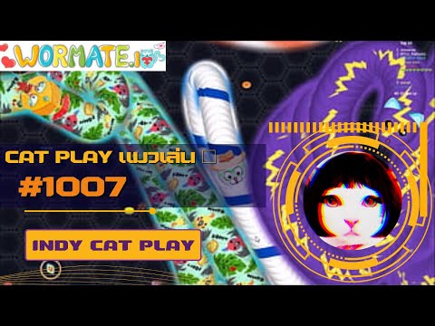 INDY CAT PLAY | wormate.io | Cat Play แมวเล่น 🐾 | #1007