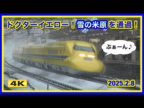 【警笛あり】ドクターイエロー T5  雪の米原を通過 !!! 2025.2.8【4K】