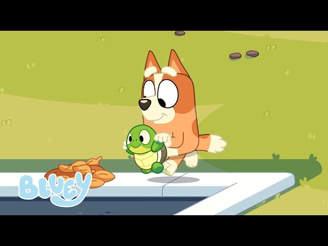 Lo que hay que hacer | Niño tortuga | Bluey Español Canal Oficial