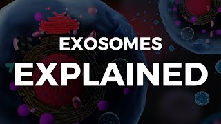 Exosomes EXPLAINED