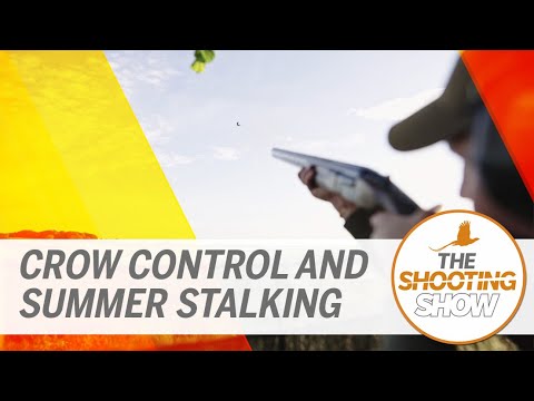 The Shooting Show - Crows over maize and stalking roe and muntjac