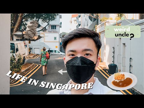 My life in Singapore🇸🇬  but with weird uncle, cool bakery, gorgeous sunset & delicious asian food!