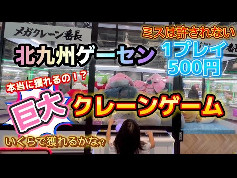 【巨大クレーンゲーム】デカすぎ！1プレイ500円いくらで獲れるのか！？