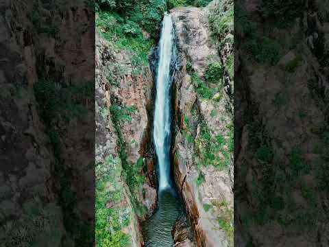 Waterfall in Ooty #ooty #waterfall #hiddengems #ootytourism #tamilnadu