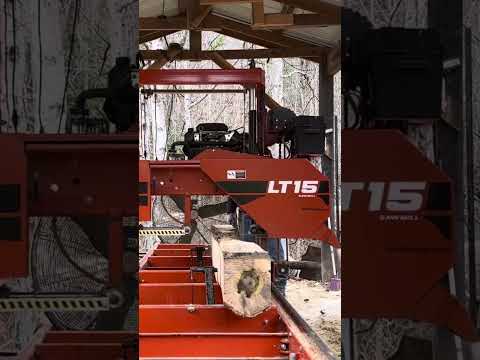 #shortvideo Sawing 3rd Edging Board from a Ugly, Cooked, Knotted , Poplar Log #woodworking