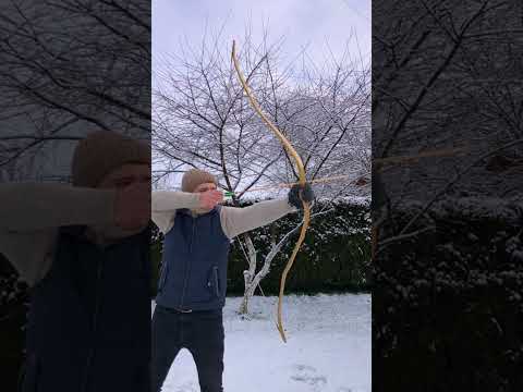 AWESOME Homemade Recurve Bow in Action 🏹🔥