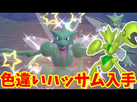 【ポケモンSV】色違いのハッサムが欲しい！色違いのストライクが入手できるイベント大量発生が神すぎる！【ポケモンスカーレットバイオレット・ゼロの秘宝】