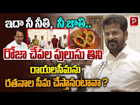 CM Revanth Reddy Satirical Comments On KCR | Vision for Rayalaseema After Tasting Roja's Fish Curry