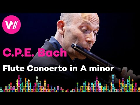 C.P.E. Bach - Flute Concerto in A Minor, Wq. 166/H. 430 | Georgian Chamber Orchestra Ingolstadt