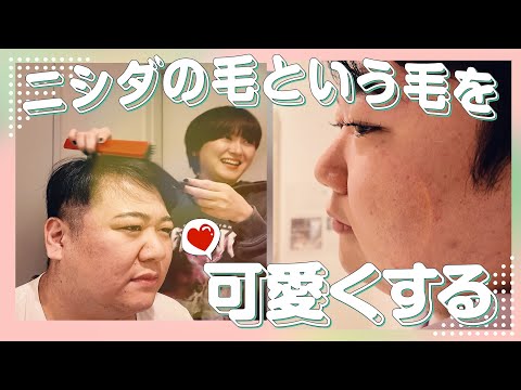 ニシダの毛という毛を可愛くする