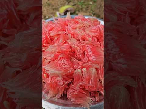 Fresh red pomelo (भोगटे) Asmr #fruit #eating #delicious