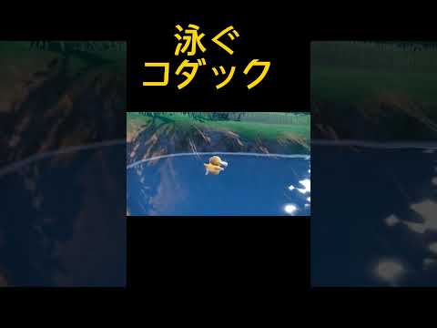 コダックが泳ぐだけの動画【ポケモンSV】#shorts #ポケモンsv #pokemon