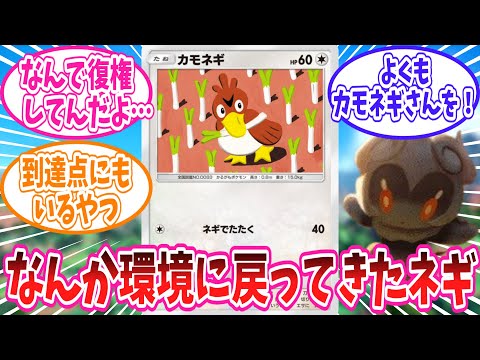 【ポケポケ】現役復帰を果たした皆の頼れる相棒、カモネギさんに対するトレーナー達の反応集【ポケモン反応集】