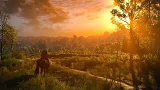 The Witcher 3 🌠(FULL RELAXING MUSIC COMPILATION) | Mankai [Music and Ambience]