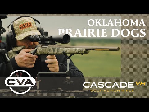 Prairie Dog Population Control - CVA Cascade Varmint Hunter .22-250