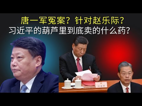 独家：习近平剑指赵乐际？唐一军冤案？习的葫芦里卖的什么药？