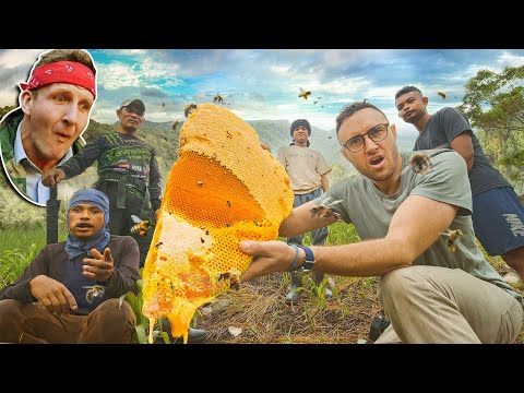 Filipino Hallucinogenic Honey - Extreme Adventures in the Hunt for "Pisukan"