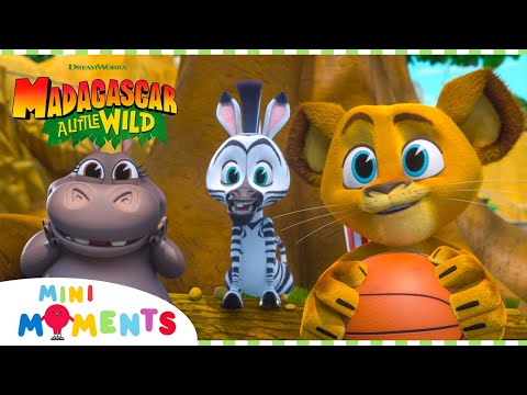 Playing Basketball with Friends!  | Madagascar: A Little Wild | Mini Moments