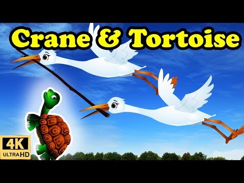 Crane and Tortoise Story in English | Moral stories for Kids | Bedtime Stories for Children