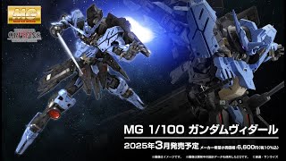 MG 1/100 Gundam Vidar - Release Info(ガンダムヴィダール)