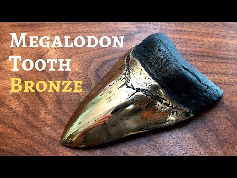 Casting Bronze Megalodon Tooth │Metal Casting │Shark Tooth