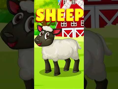 What Animal Am I? Farm Animal Sound Songs | Kids Learning Videos #shorts