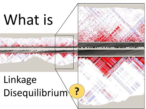 What is Linkage Disequilibrium? | Genomics