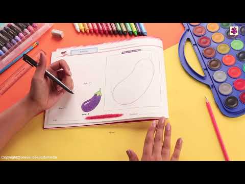 Brinjal | Step by Step Drawing Book 1 | Periwinkle