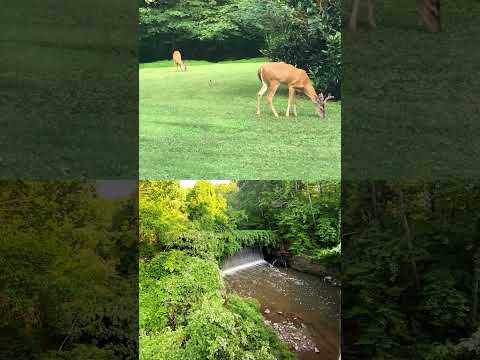 scenic nature in Atlanta