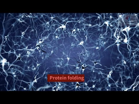 Protein folding