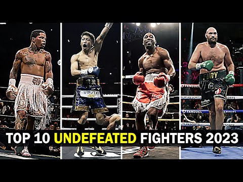 TOP 10 Undefeated Fighters 2023