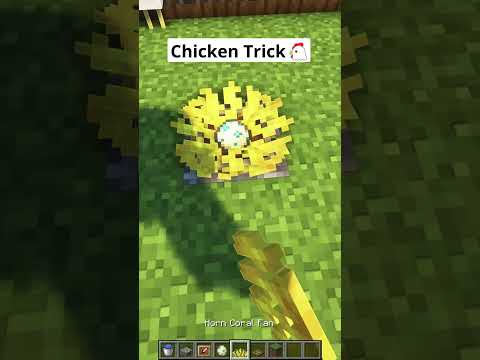 Minecraft Chicken Trick🐔 #shorts